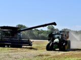 An autonomous tractor/grain cart, controlled by a computer program, pulls alongside a combine that needs to be unloaded in a wheat field during a demonstration last month at AGCO Tech Day southeast of Salina, Kansas. The equipment is designed to fill labor shortages, save time and add to the bottom lines of farmers. (Photo by Tim Unruh.)